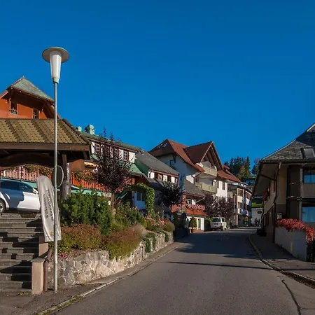 Apartment 12 - Ferienresidenz Roseneck, 2 Schlafzimmer, Mit Schwimmbad In Bei Feldberg
