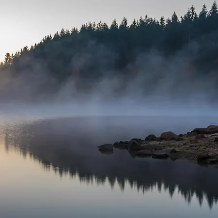 12 - Ferienresidenz Roseneck, 2 Schlafzimmer, Mit Schwimmbad In Bei Feldberg