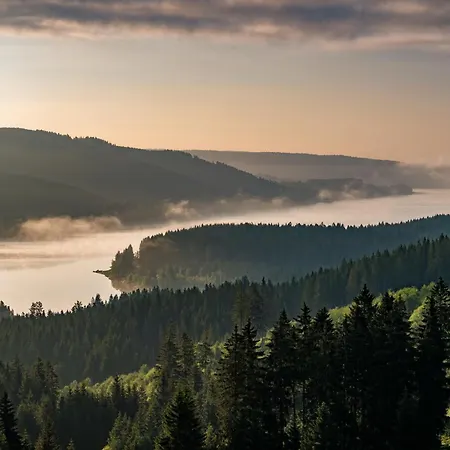 12 - Ferienresidenz Roseneck, 2 Schlafzimmer, Mit Schwimmbad In Bei Feldberg Todtnauberg