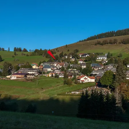 Apartment 12 - Ferienresidenz Roseneck, 2 Schlafzimmer, Mit Schwimmbad In Bei Feldberg *