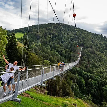 12 - Ferienresidenz Roseneck, 2 Schlafzimmer, Mit Schwimmbad In Bei Feldberg Todtnauberg
