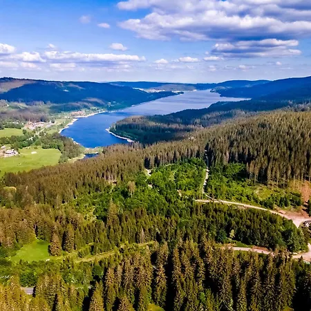 12 - Ferienresidenz Roseneck, 2 Schlafzimmer, Mit Schwimmbad In Bei Feldberg