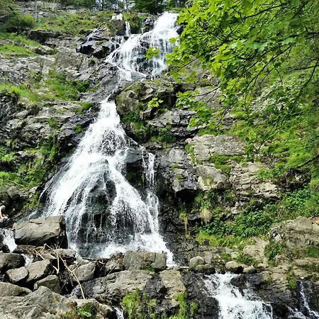 12 - Ferienresidenz Roseneck, 2 Schlafzimmer, Mit Schwimmbad In Bei Feldberg Todtnauberg